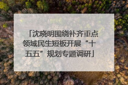 沈晓明围绕补齐重点领域民生短板开展“十五五”规划专题调研