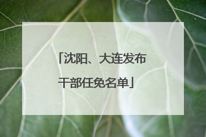 沈阳、大连发布干部任免名单