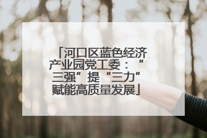 河口区蓝色经济产业园党工委：“三强”提“三力”赋能高质量发展