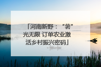 河南新野：“薯”光无限 订单农业激活乡村振兴密码