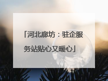 河北廊坊：驻企服务站贴心又暖心