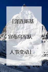 泽连斯基宣布乌军队人事变动