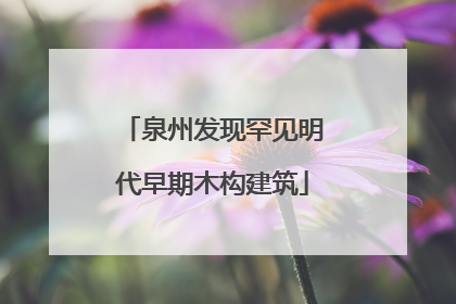 泉州发现罕见明代早期木构建筑