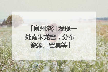 泉州洛江发现一处南宋龙窑，分布瓷器、窑具等