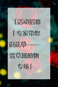 活动招募丨专家带您识花草——萱草属植物专场