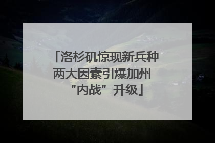洛杉矶惊现新兵种 两大因素引爆加州“内战”升级