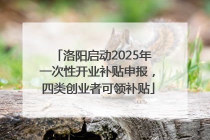 洛阳启动2025年一次性开业补贴申报，四类创业者可领补贴
