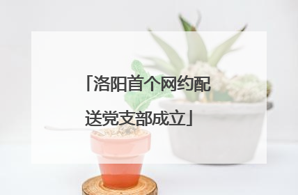 洛阳首个网约配送党支部成立