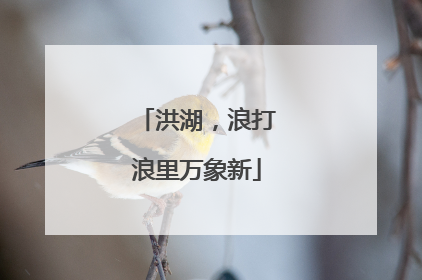 洪湖，浪打浪里万象新