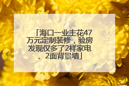 海口一业主花47万元定制装修，验房发现仅多了2样家电、2面背景墙