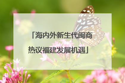 海内外新生代闽商热议福建发展机遇