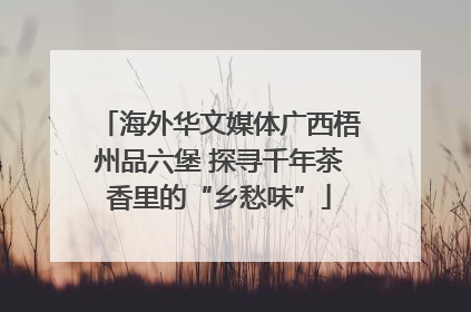 海外华文媒体广西梧州品六堡 探寻千年茶香里的“乡愁味”