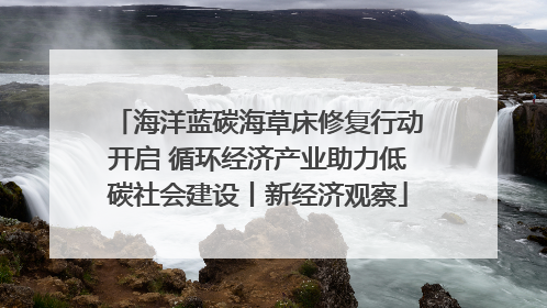 海洋蓝碳海草床修复行动开启 循环经济产业助力低碳社会建设丨新经济观察