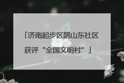 济南起步区鹊山东社区获评“全国文明村”