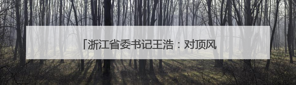 浙江省委书记王浩：对顶风违纪行为从严从重从快处理