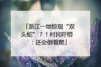 浙江一地惊现“双头蛇”？！村民吓懵：还会倒着爬