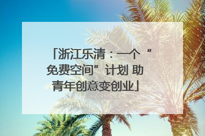 浙江乐清：一个“免费空间”计划 助青年创意变创业