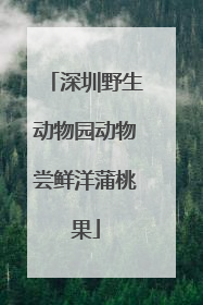 深圳野生动物园动物尝鲜洋蒲桃果