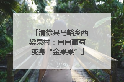 清徐县马峪乡西梁泉村：串串葡萄变身“金果果”