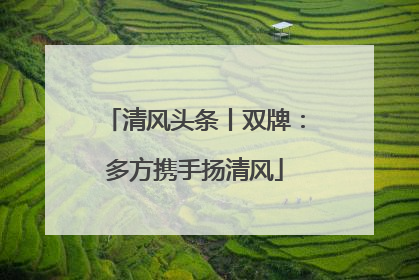 清风头条丨双牌：多方携手扬清风