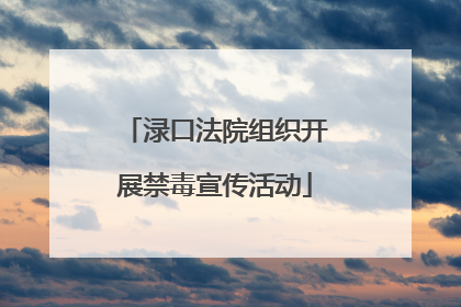 渌口法院组织开展禁毒宣传活动