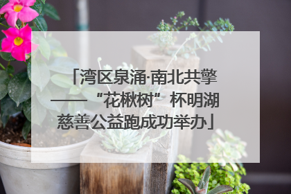 湾区泉涌·南北共擎——“花楸树”杯明湖慈善公益跑成功举办