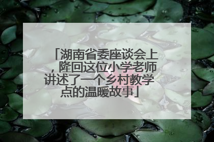 湖南省委座谈会上，隆回这位小学老师讲述了一个乡村教学点的温暖故事