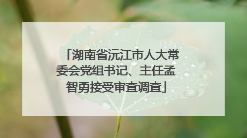 湖南省沅江市人大常委会党组书记、主任孟智勇接受审查调查