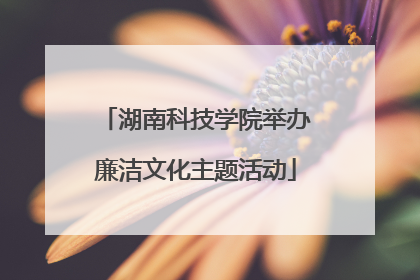 湖南科技学院举办廉洁文化主题活动