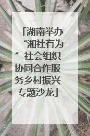 湖南举办“湘社有为”社会组织协同合作服务乡村振兴专题沙龙