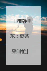 湖南桂东：夏茶采制忙