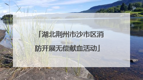湖北荆州市沙市区消防开展无偿献血活动