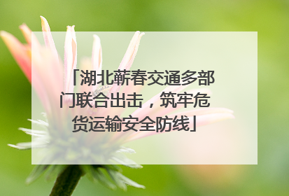 湖北蕲春交通多部门联合出击，筑牢危货运输安全防线