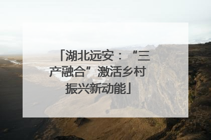 湖北远安：“三产融合”激活乡村振兴新动能