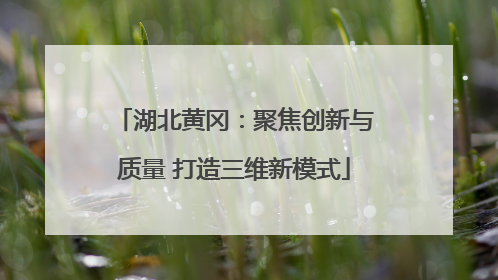 湖北黄冈：聚焦创新与质量 打造三维新模式