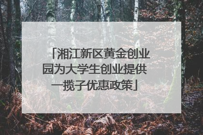 湘江新区黄金创业园为大学生创业提供一揽子优惠政策