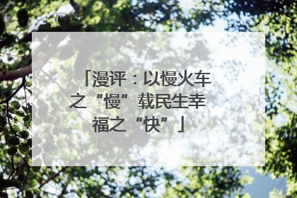 漫评：以慢火车之“慢”载民生幸福之“快”