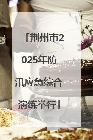荆州市2025年防汛应急综合演练举行