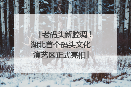 老码头新腔调！湖北首个码头文化演艺区正式亮相
