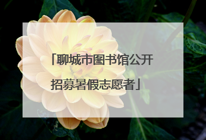 聊城市图书馆公开招募暑假志愿者