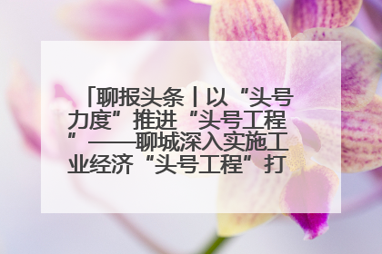聊报头条丨以“头号力度”推进“头号工程”——聊城深入实施工业经济“头号工程”打造经济发展强引擎