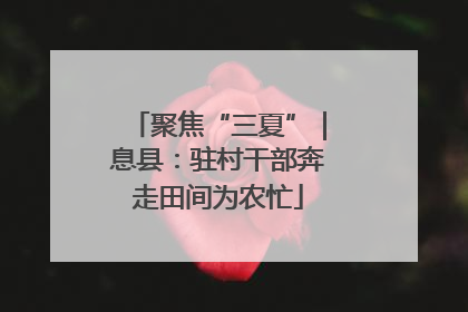 聚焦“三夏”｜息县：驻村干部奔走田间为农忙