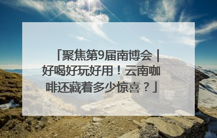 聚焦第9届南博会｜好喝好玩好用！云南咖啡还藏着多少惊喜？