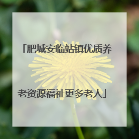 肥城安临站镇优质养老资源福祉更多老人