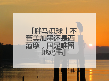 胖马识球丨不管美加墨还是西葡摩，国足唯留一地鸡毛