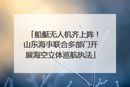 船艇无人机齐上阵！山东海事联合多部门开展海空立体巡航执法
