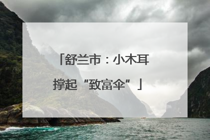 舒兰市：小木耳撑起“致富伞”