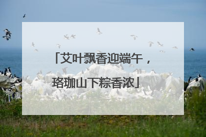 艾叶飘香迎端午，珞珈山下粽香浓