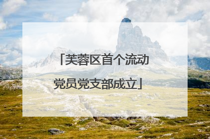 芙蓉区首个流动党员党支部成立