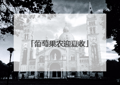 葡萄果农迎夏收